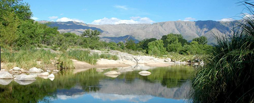 Naturaleza